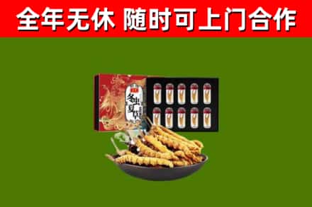 黔西南回收冬虫夏草价格